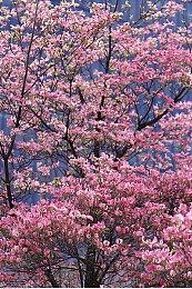 战神之父认为：《星空》是最佳单机叙事游戏！